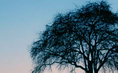 ����������600��[����3ƪ]