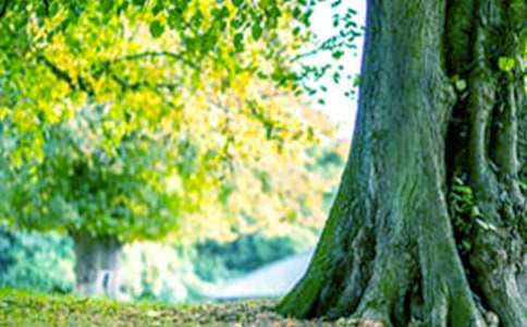 [����]������������15ƪ