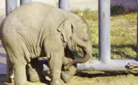 ����С���ù��ӿ�ͼд��