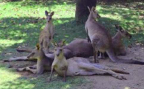 ��������ļ���[15ƪ]