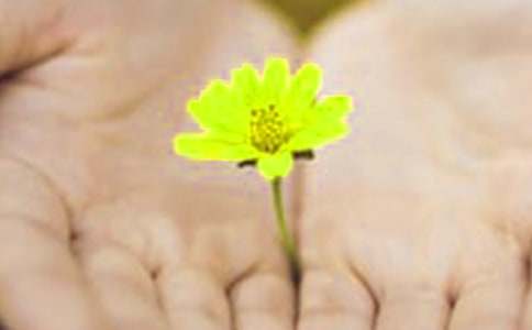 ���µ�Ǹ���Ż��13ƪ