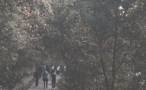 ��ɽ����600�����㡾3ƪ��