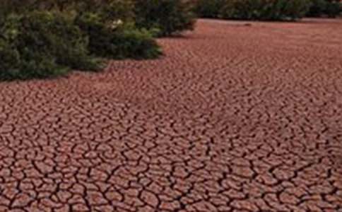 《地球在呻吟》读后感