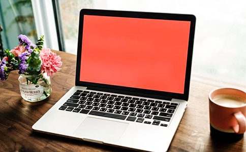 我家的电脑作文(优秀)