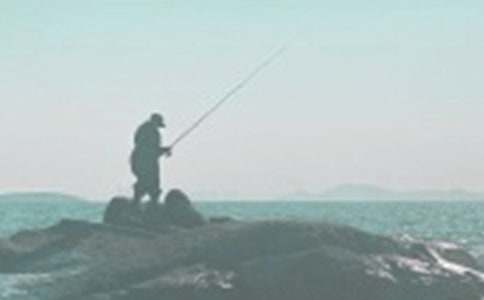 精选小猫钓鱼的作文300字汇总九篇