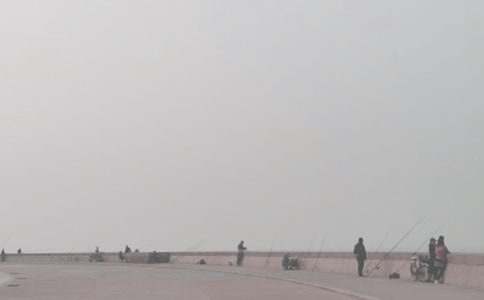 ��ٵ�������300�֣�ͨ��20ƪ��