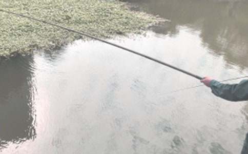 ��ٵ�������