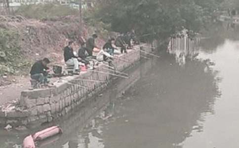 С���ϲ�������̰���Сè����