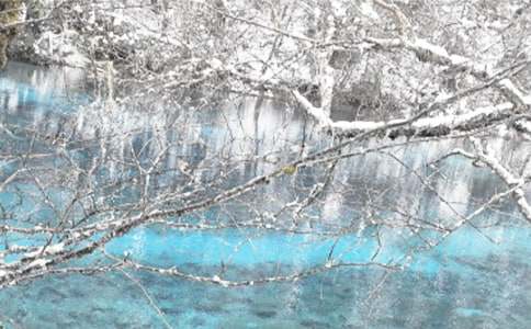 �����ʺ���Ŵ�ȫ