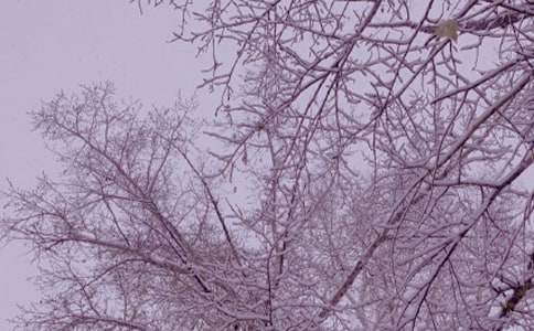 ����ů������15ƪ[����]