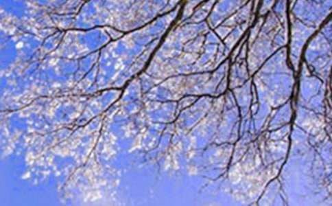 ���ϵĶ��쵼�δʣ���ѡ10ƪ��