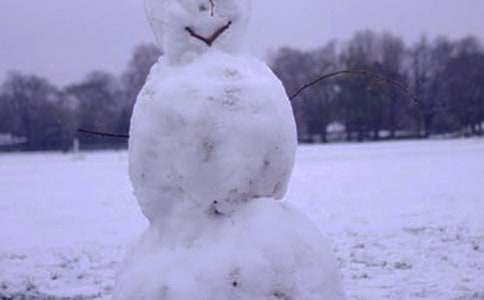 Сѧ���꼶���ģ���������