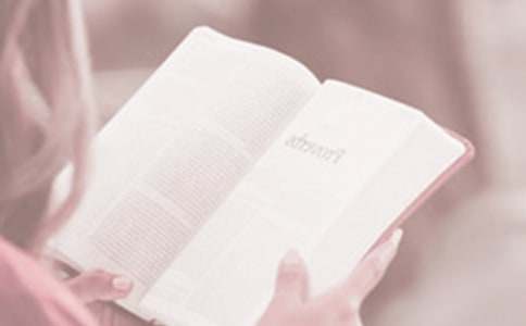 世界读书日短信