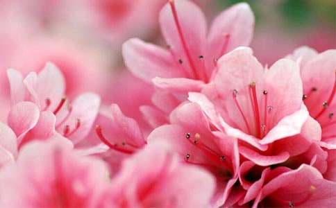 �ž黨���꼶����