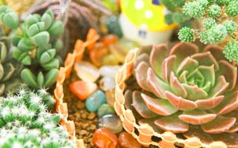 �ҼҵĶ�����������(9ƪ)