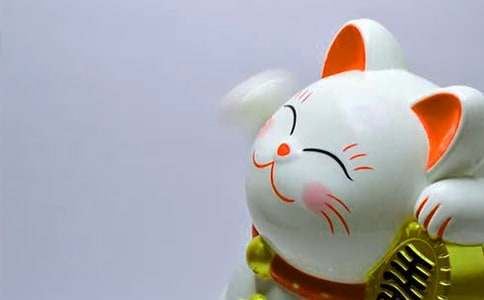 �����շ������ѹ�ף���ƵĶ���