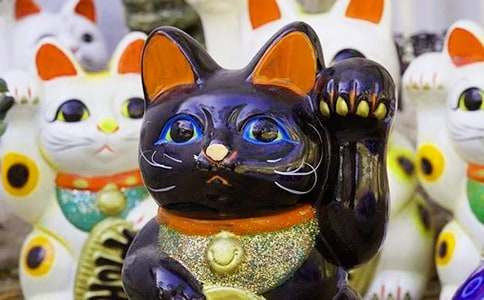 528��ף��ҷ��ƵĶ���70��