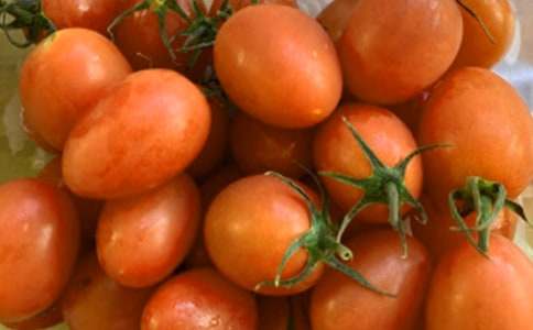 (优秀)番茄炒蛋作文5篇