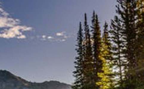 关于风景的唯美句子