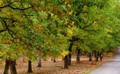 �Է羰Ϊ�������������