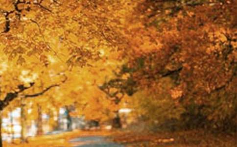 ѩ����Сѧ���꼶�羰����