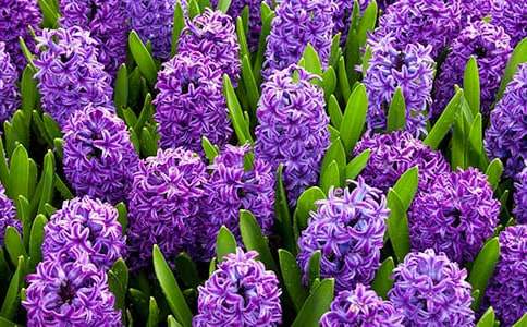 ���ݷ����ӵľ���