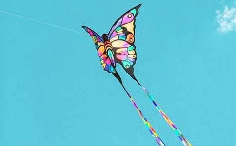 д�ŷ�������15ƪ[ͨ��]