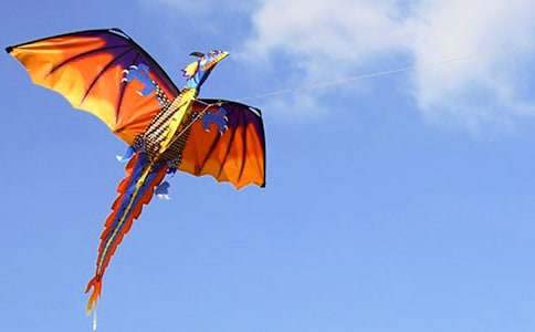 �ŷ������ĳ���15ƪ