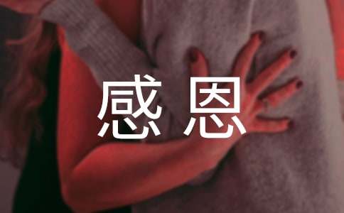 实用的小学生感恩作文合集八篇