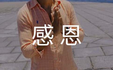 �ж���С����