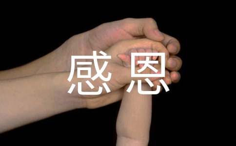 实用的感恩爸爸作文10篇
