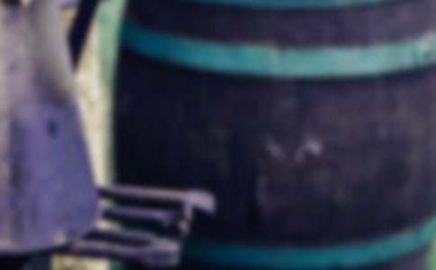 ������־�ۺ�У���ѡ10ƪ��