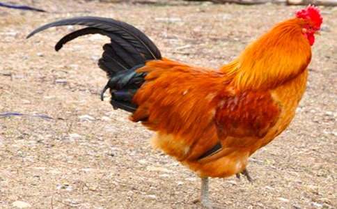 [����]�󹫼�����