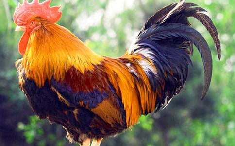 �ö��Ĺ�������(����)