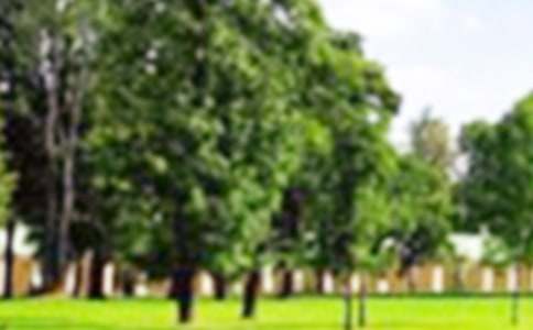 ٪�޼͹�԰�Ĺۺ��