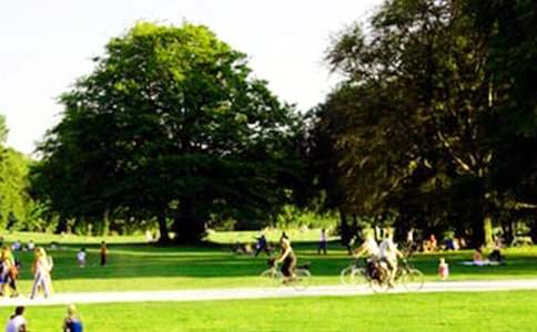 ��ٹ�԰���İ�ƪ