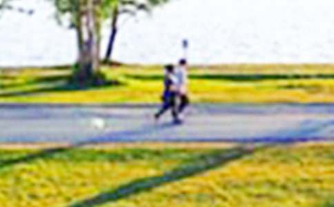 ��ٵ�ʪ�ع�԰����(���9ƪ)