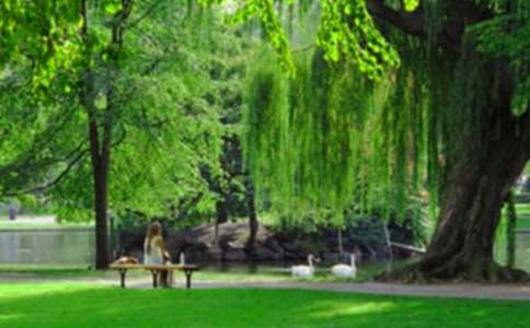 暑假公园作文汇编10篇