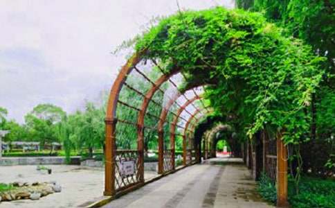 Сѧ���꼶���ģ������Ĺ�԰10ƪ