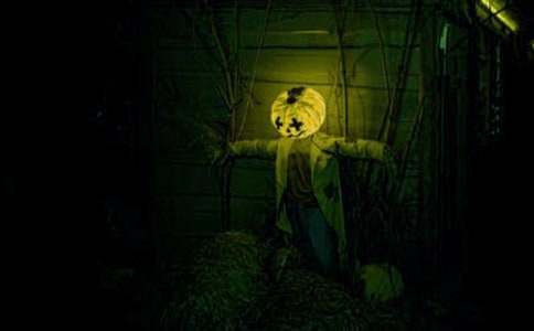 �����ݡ����ռ�����