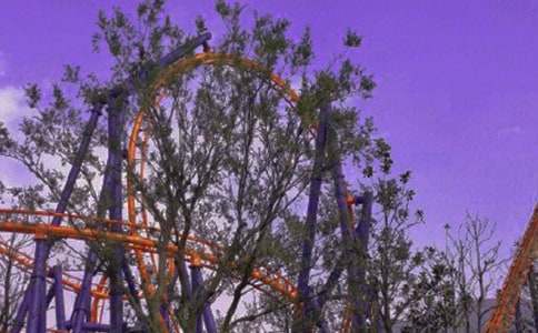 【优秀】过山车作文