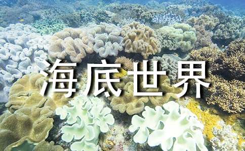 大班美术教案:海底世界