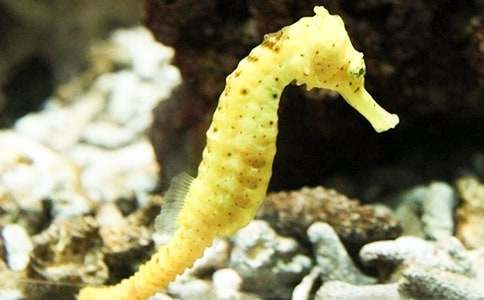 �а��ѧ��̰��������ְ���������