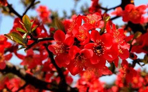 ���㺣�Ĺۺ�� ����ѡ24ƪ��