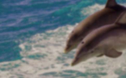 ��ɫ�ĺ��ൺ�����13ƪ