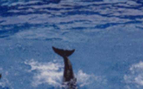 �����ϣ�����ɫ�ĺ��ൺ�и�15ƪ