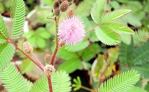 �й����꼶���߲�����300�ּ���10ƪ