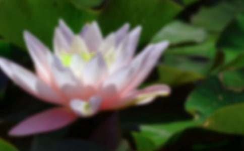 �ɻ�_Сѧ�����꼶����