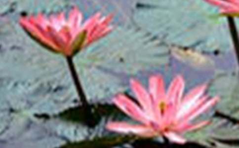 �ɻ��۲��ռ�9ƪ