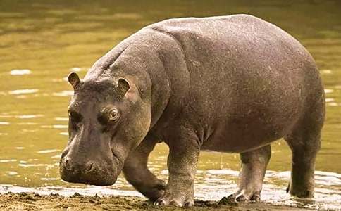 ���������������